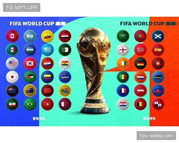 2026世界杯官方排名决定解析 2026世界杯官方排名决定解析