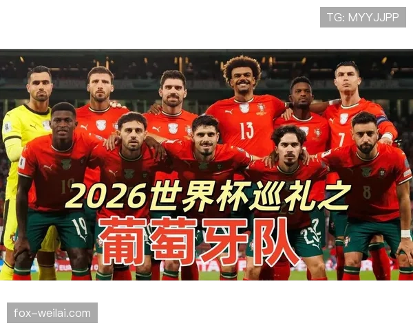 世界杯K组赛前观察报告 世界杯K组赛前观察报告